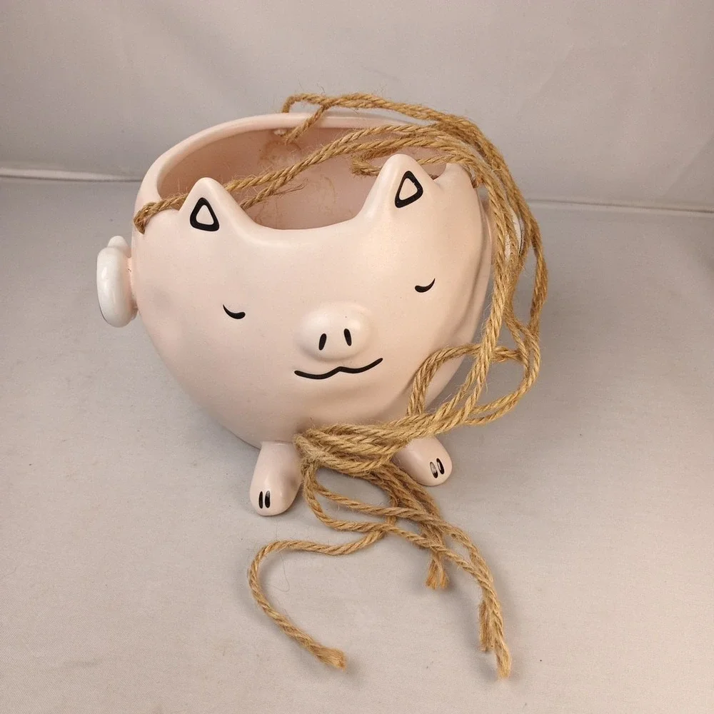 Pottery Pink Flying Ping Planter Pot Succulent Plant Small 3.5